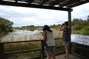 mirador racó de l'olla albufera valencia visitalbufera